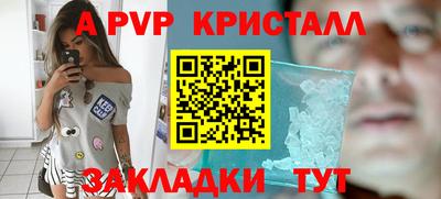 шишки Бийск