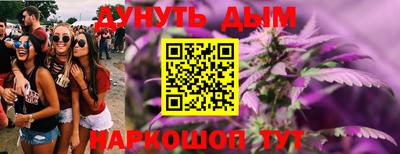 шишки Бийск