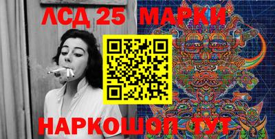 шишки Бийск