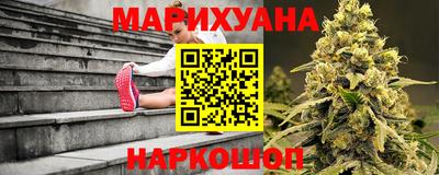 шишки Бийск