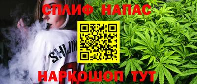 МДПВ Беслан