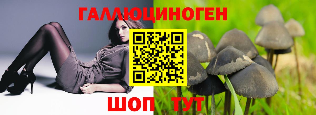 Галлюциногенные грибы GOLDEN TEACHER Калуга